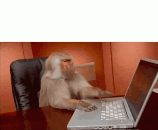 Behind the scenes of ChatGPT